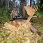 AR17-Dale Moose 02 2017.jpg